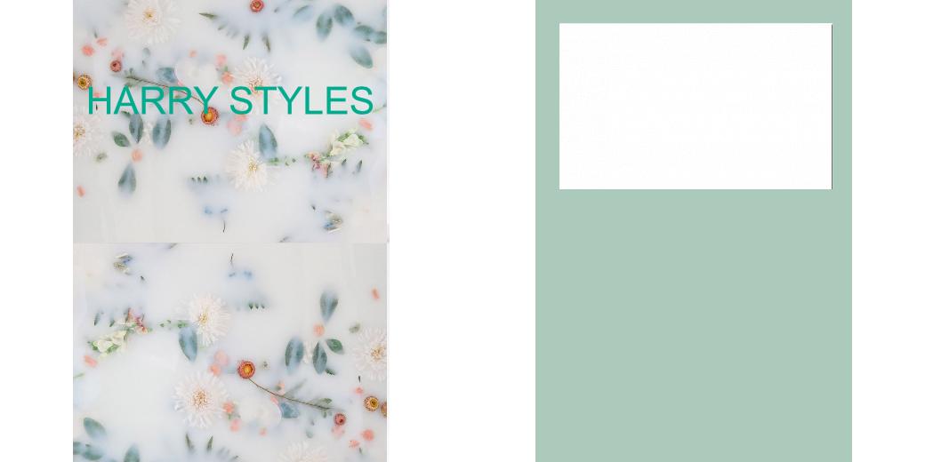 Custom Junior Z Palette