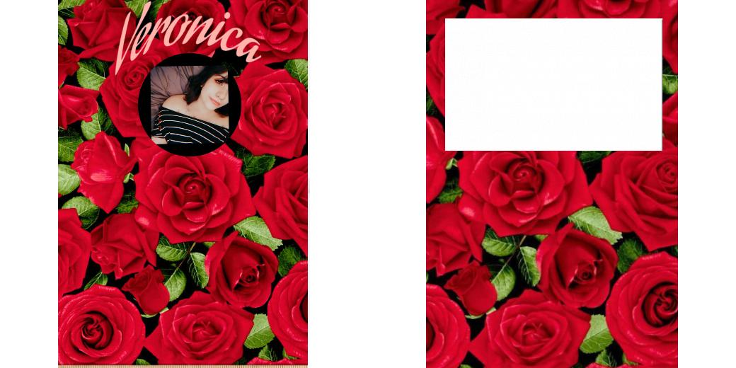 Custom Junior Z Palette