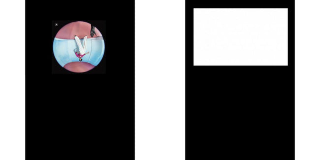 Custom Junior Z Palette