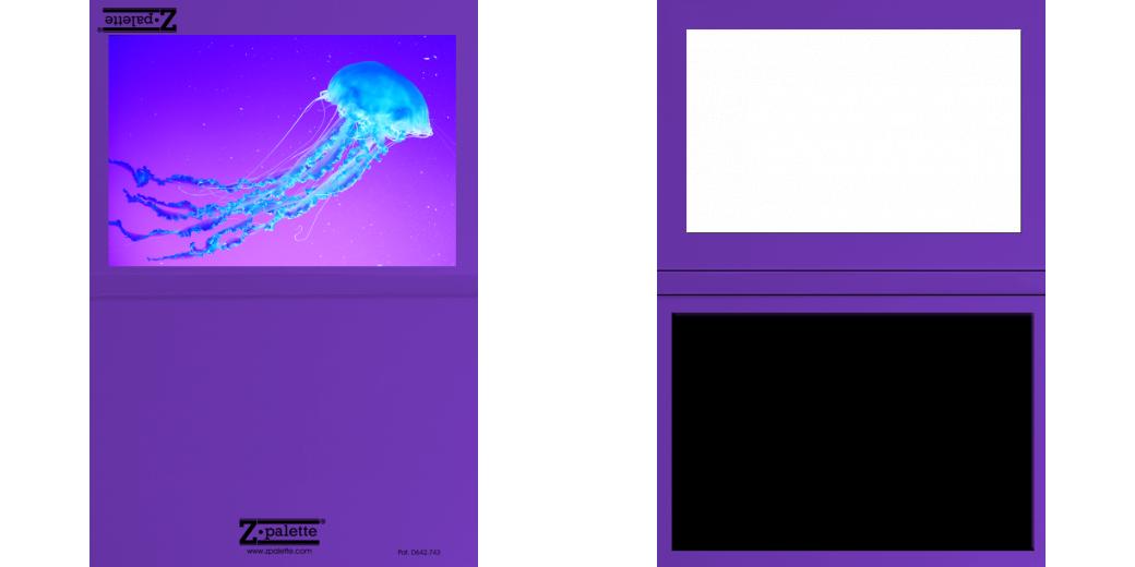 Custom Junior Z Palette