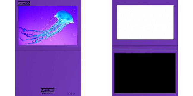 Custom Junior Z Palette