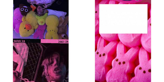 Custom Junior Z Palette