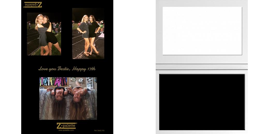 Custom Junior Z Palette