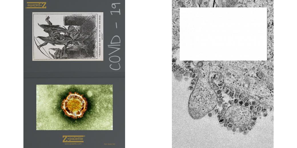 Custom Junior Z Palette