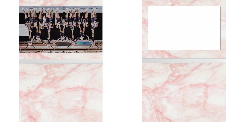 Custom Junior Z Palette