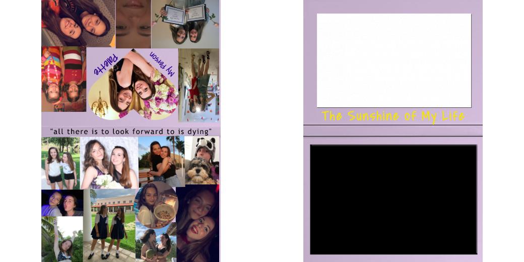 Custom Junior Z Palette