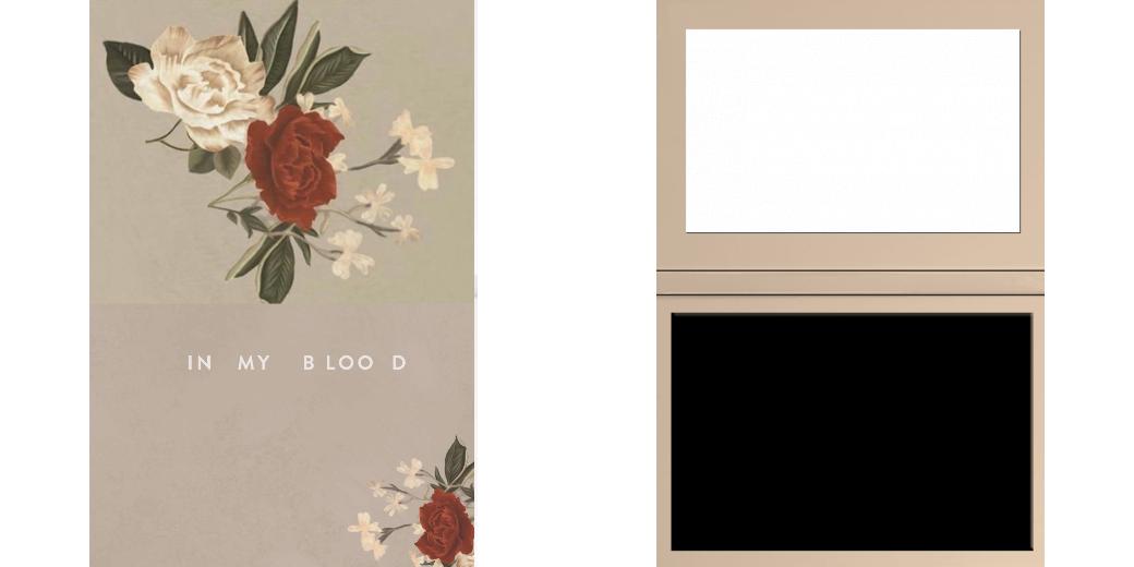 Custom Junior Z Palette