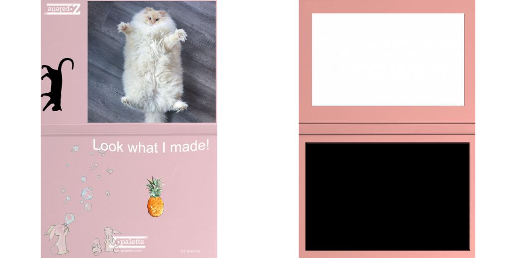 Custom Junior Z Palette