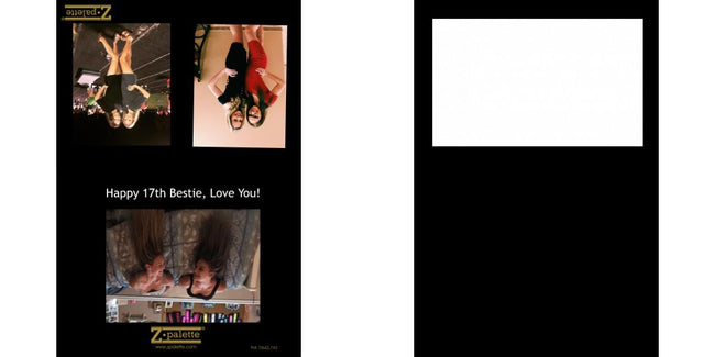 Custom Junior Z Palette