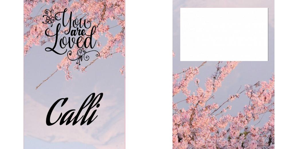 Custom Junior Z Palette