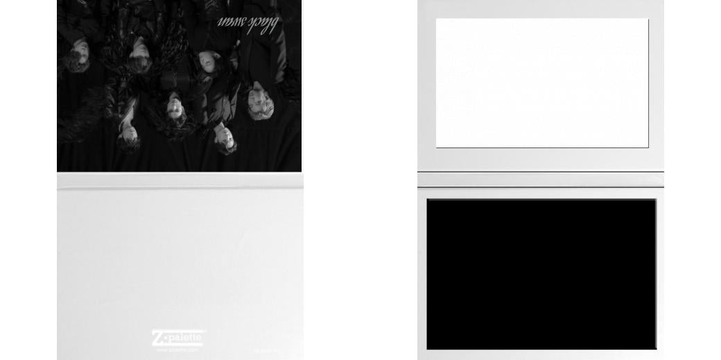 Custom Junior Z Palette