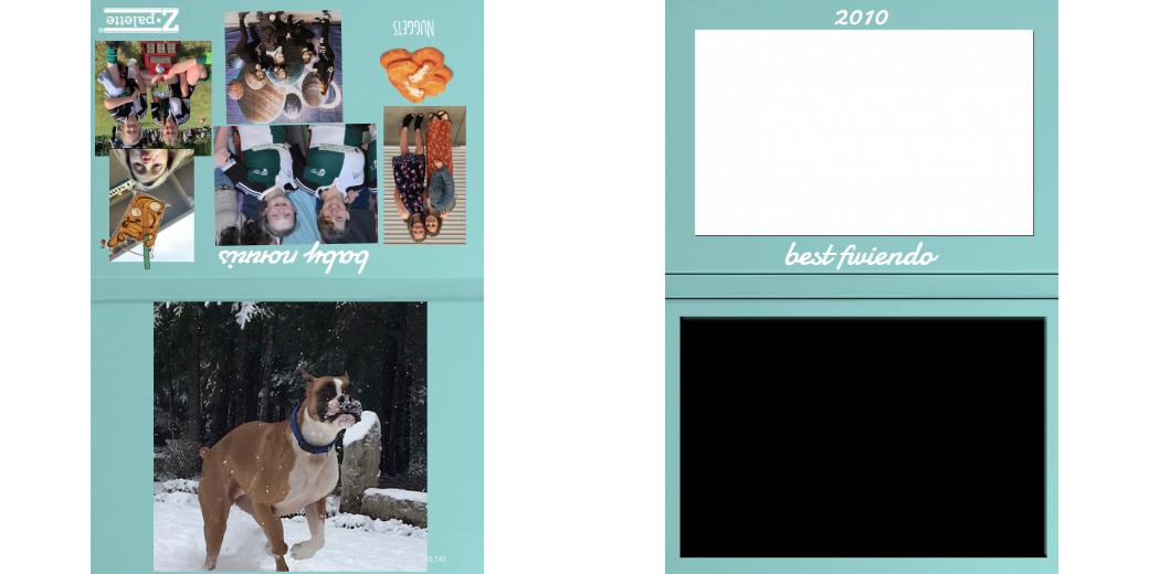 Custom Junior Z Palette