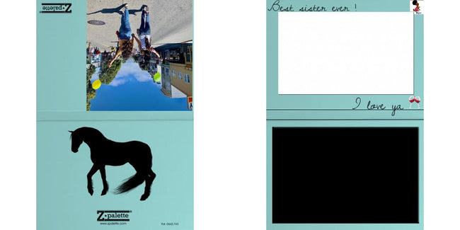 Custom Junior Z Palette