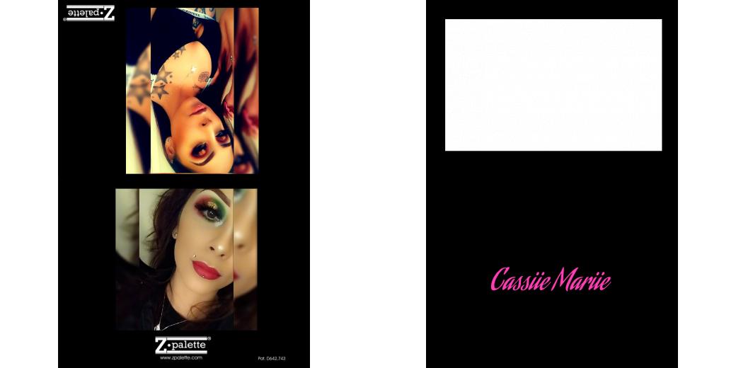 Custom Junior Z Palette