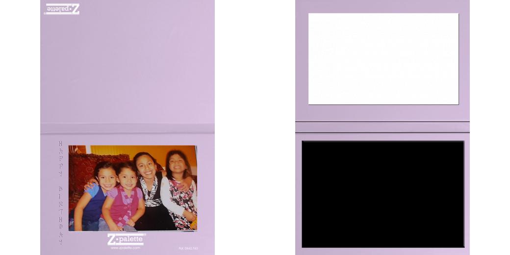 Custom Junior Z Palette