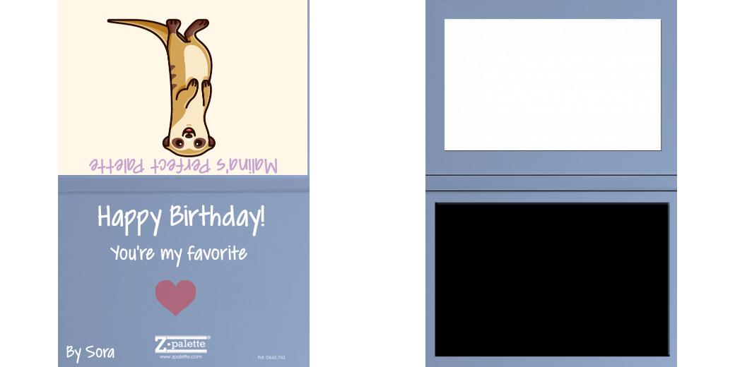 Custom Junior Z Palette