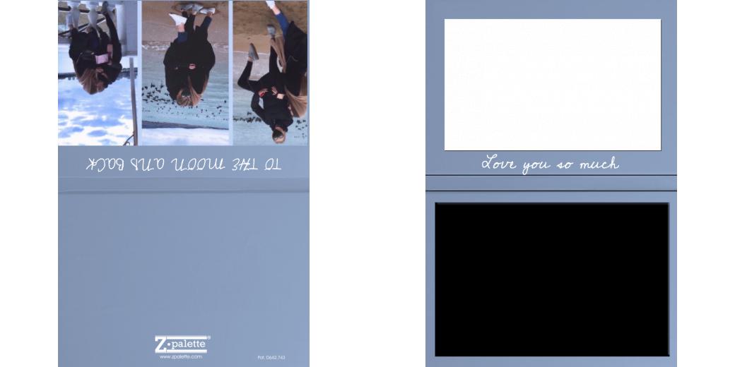 Custom Junior Z Palette