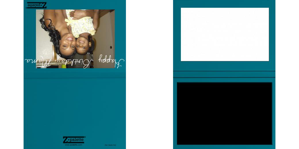 Custom Junior Z Palette