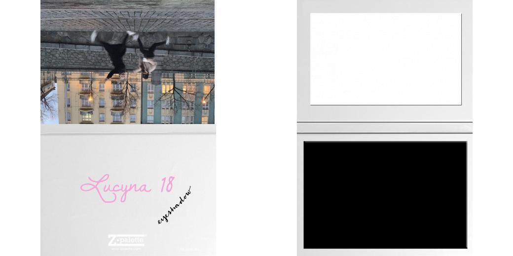 Custom Junior Z Palette