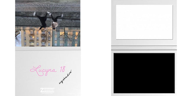 Custom Junior Z Palette