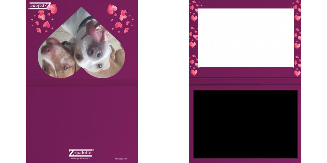 Custom Junior Z Palette