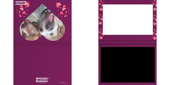 Custom Junior Z Palette