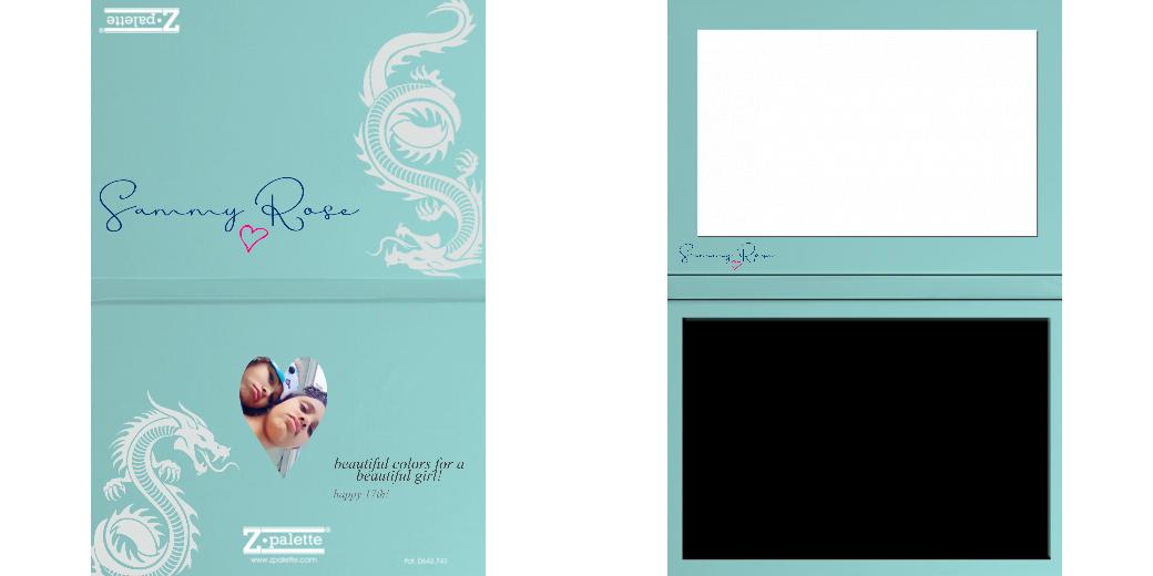 Custom Junior Z Palette