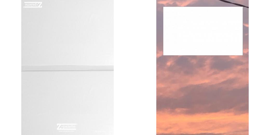 Custom Junior Z Palette