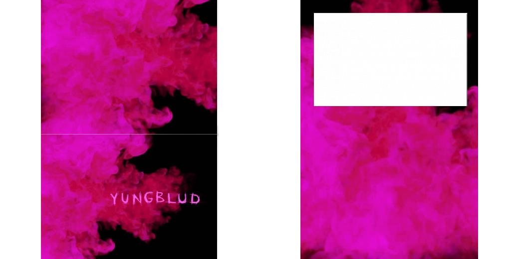 Custom Junior Z Palette