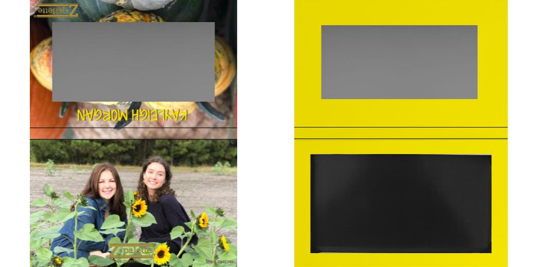 Custom Medium Deep Z Palette