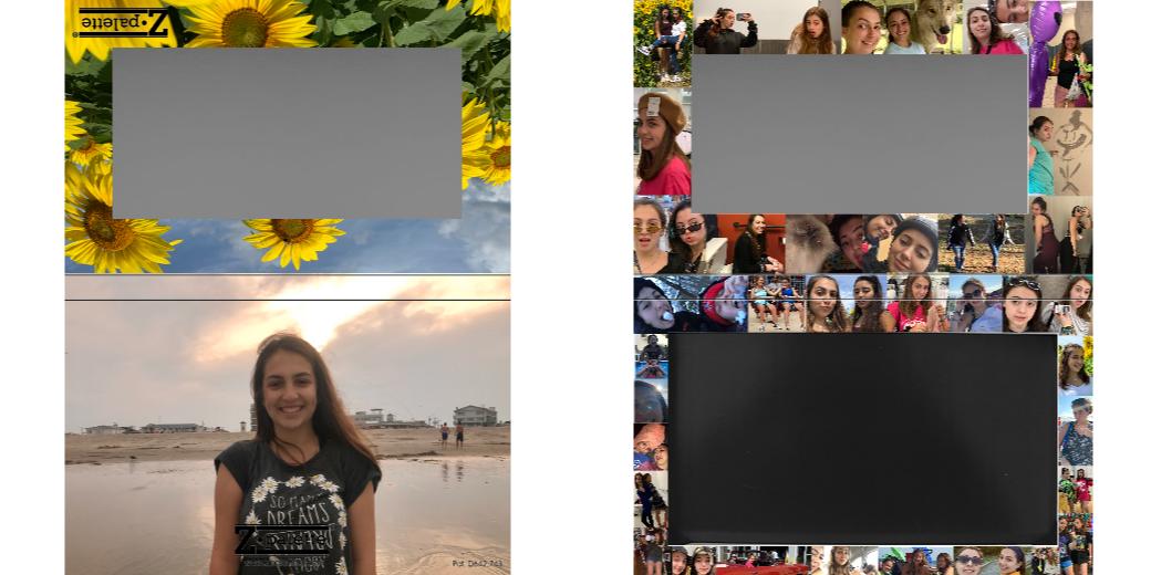 Custom Medium Deep Z Palette