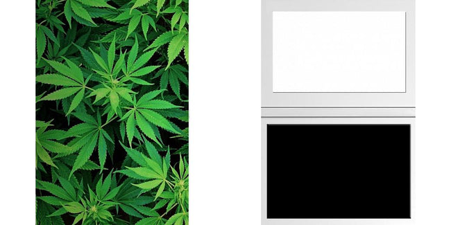 Custom Junior Z Palette