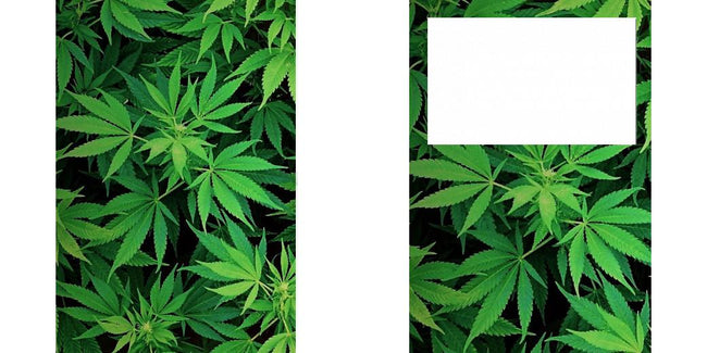 Custom Junior Z Palette