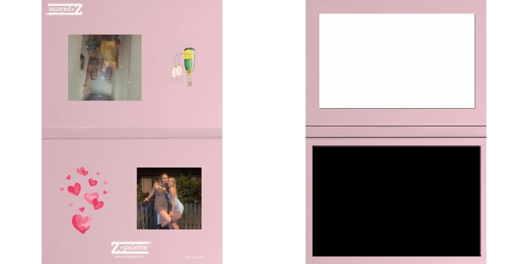 Custom Junior Z Palette