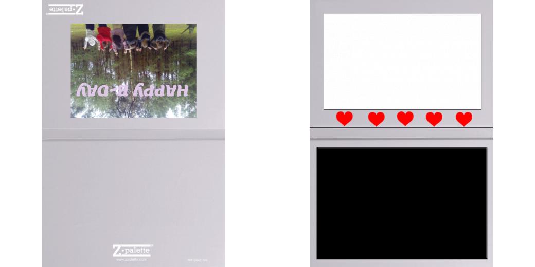 Custom Junior Z Palette