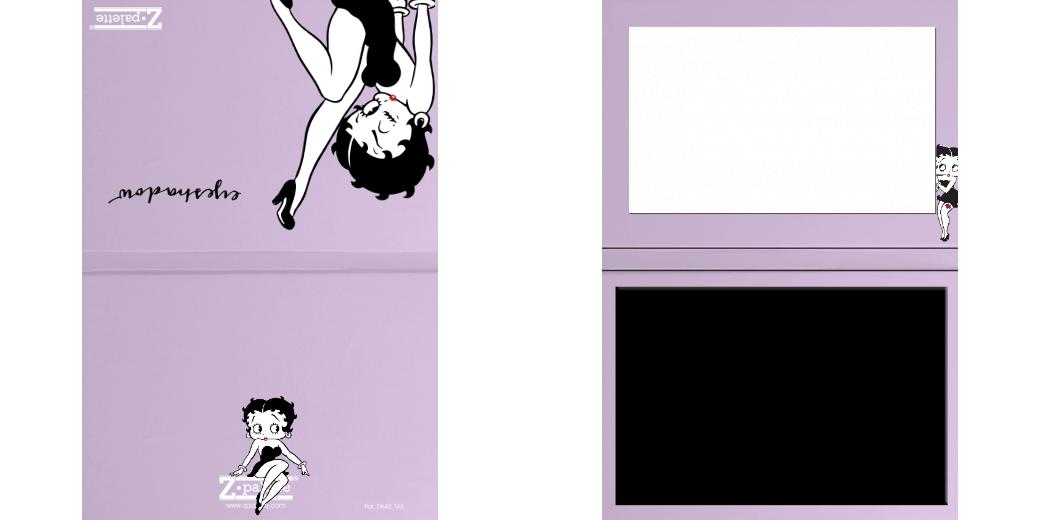 Custom Junior Z Palette