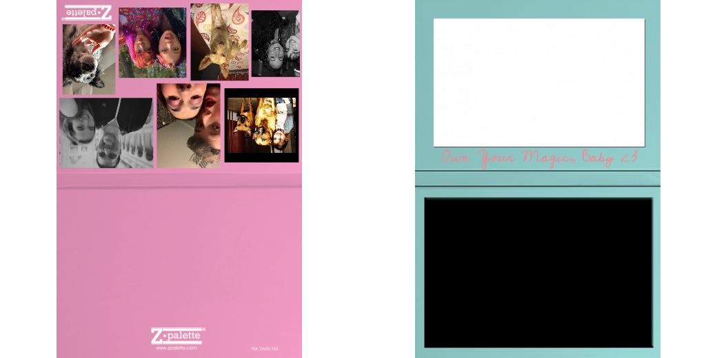 Custom Junior Z Palette