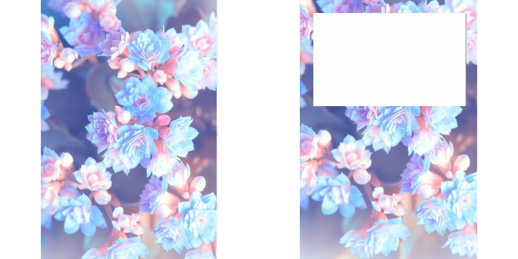 Custom Junior Z Palette