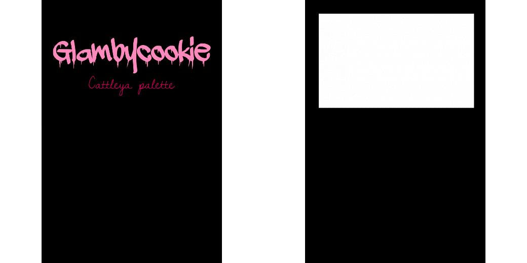 Custom Junior Z Palette