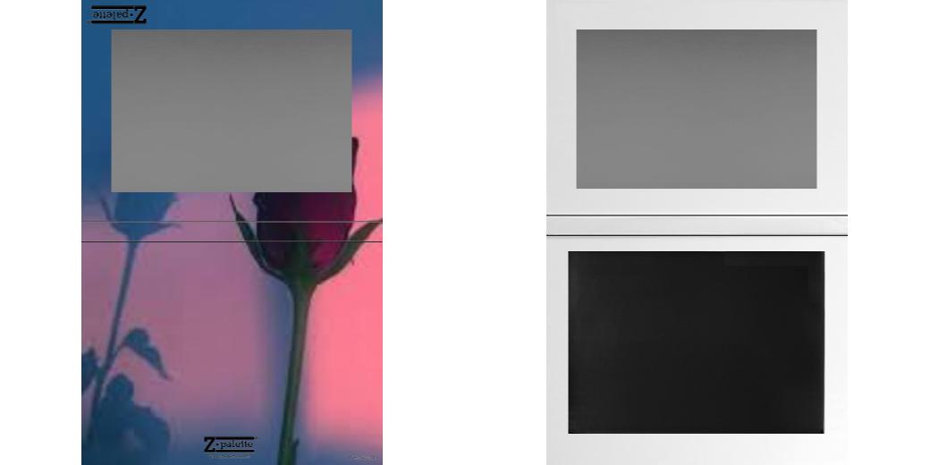 Custom Extra Large Z Palette