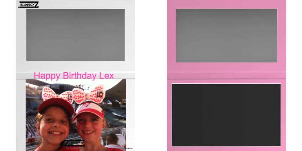 Custom Large Z Palette