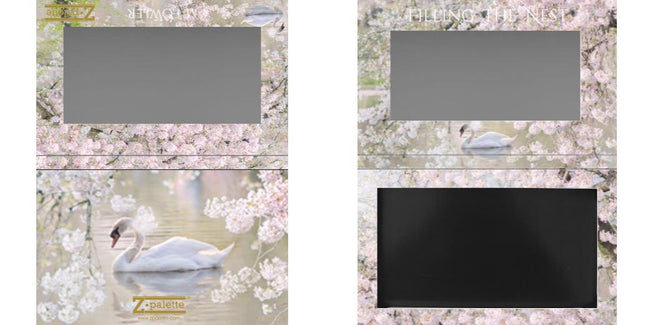 Custom Medium Deep Z Palette