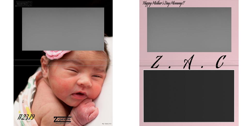 Custom Large Z Palette