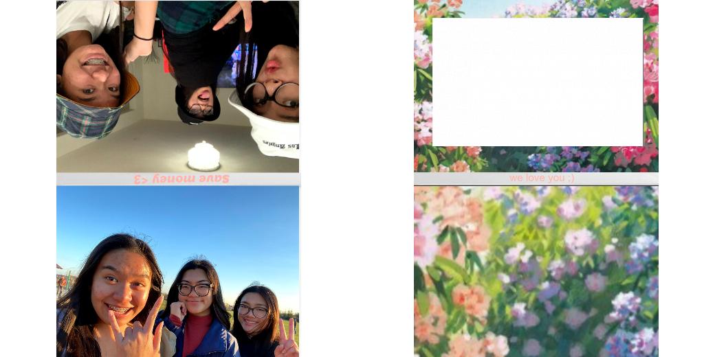 Custom Junior Z Palette