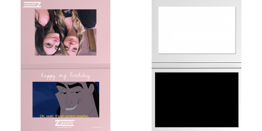 Custom Junior Z Palette