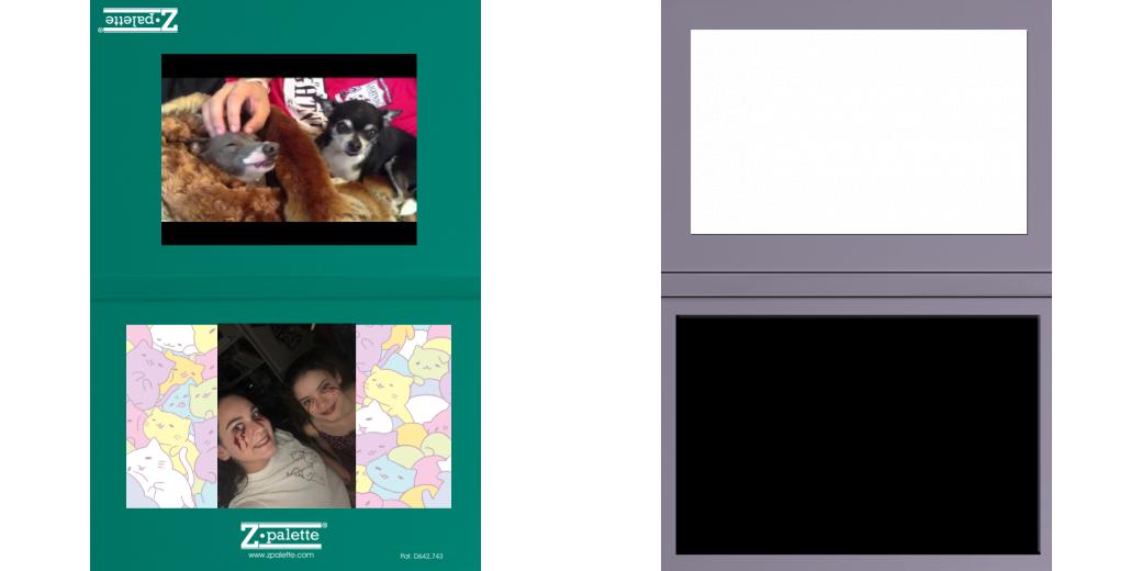 Custom Junior Z Palette