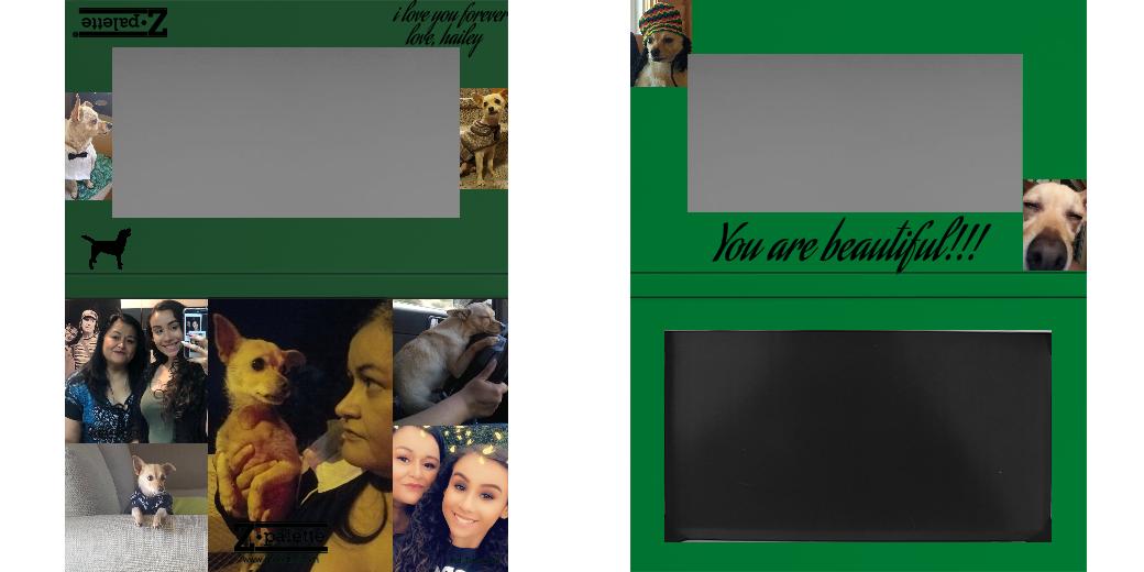 Custom Medium Deep Z Palette