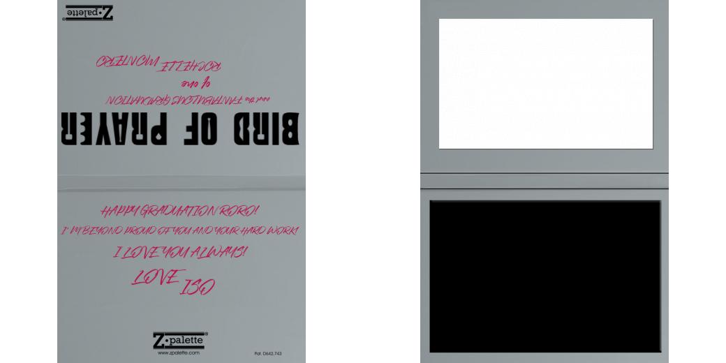 Custom Junior Z Palette