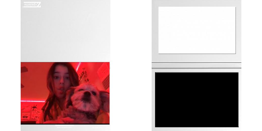 Custom Junior Z Palette