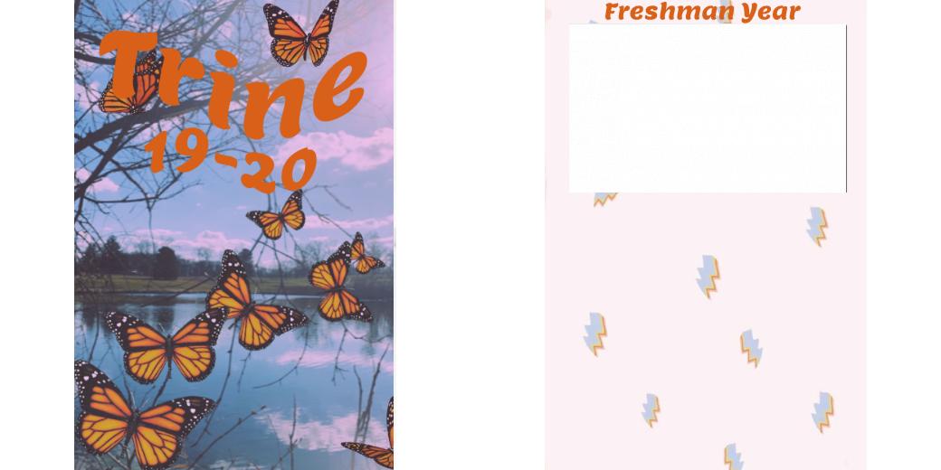 Custom Junior Z Palette